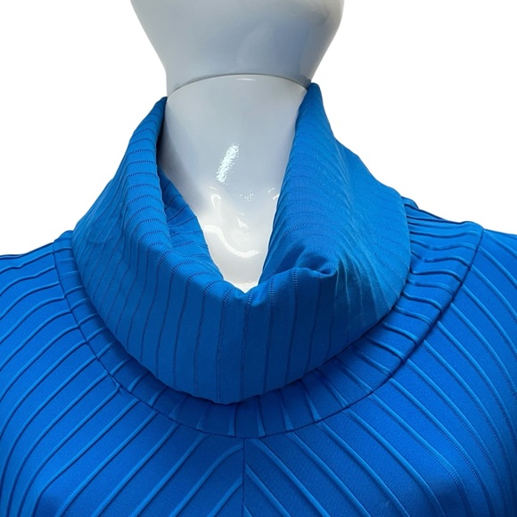 NWT Heydari Blue Textured Knit Stripe Cowl Neck Long Sleeve Dress Size L - Picture 4 of 12